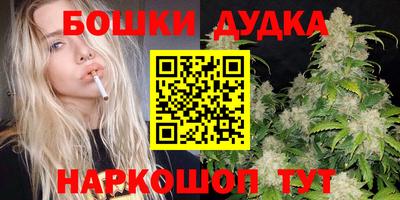 spice Гай
